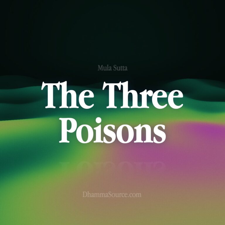 The Three Poisons – Buddhism